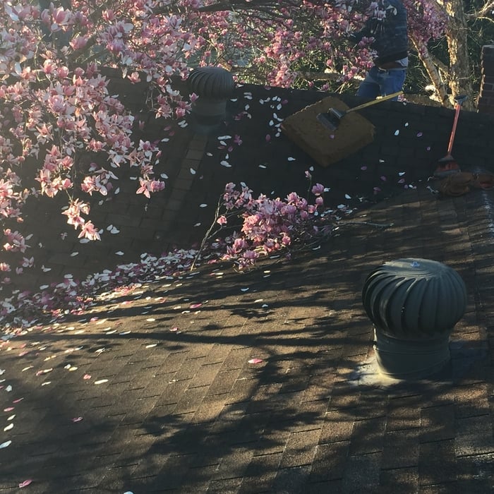 process to remove shingles