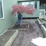 Landscaping
