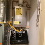 Rinnai Tankless