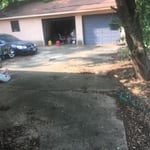 CLEAN UP/ TREES TRIMMED