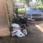CLEAN UP/ TREES TRIMMED