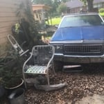 CLEAN UP/ TREES TRIMMED