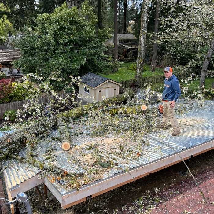 Tree removal off roof