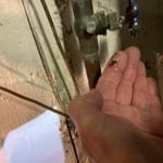Leaking Main Water Supply Valve