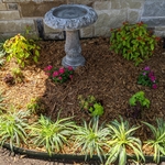 Flower Bed