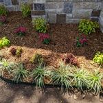Flower Bed