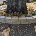 Flower Bed