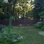 Tree removal after