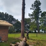 Back to the ground