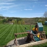 Grass Cut