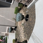 Landscape Bed Renovation