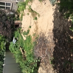 Landscape Renovation