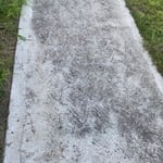 Before Concrete Walkway
