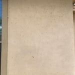 Before Concrete Wall