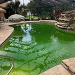Got a pool that looks like this?