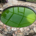Before and After: Pools