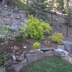 Landscape Design