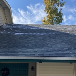 Roof 1