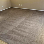 Vaccuumed carpet