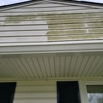 Eve in Process of cleaning