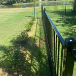 Iron Fence - 4' Puppy Panel