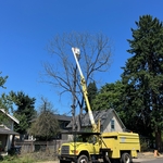 At the beginning of removal
