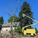During removal