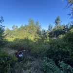 Beginning of removal