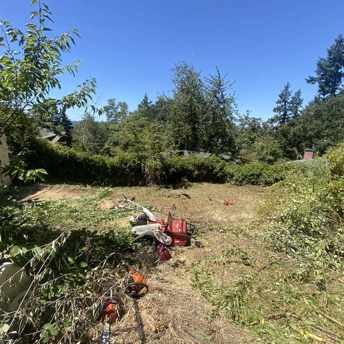 During removal