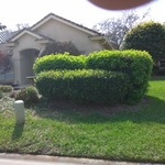 Trimming Front of a House