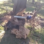 Cleared to begin final cut.