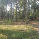 Beginning of a job in willis.