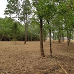 Hydro mulching