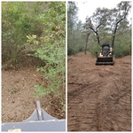 Tmw land services