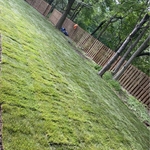 Sod Installation