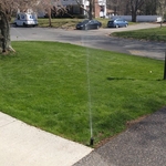 25.00 Step one Lawn Fertilizer Application for yo