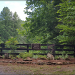 Ohana Landscaping