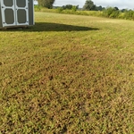 Lawn Care