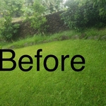 Before