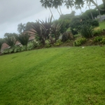 Plant Area