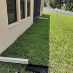 Replacing old landscape