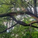 Storm Damage For Customer