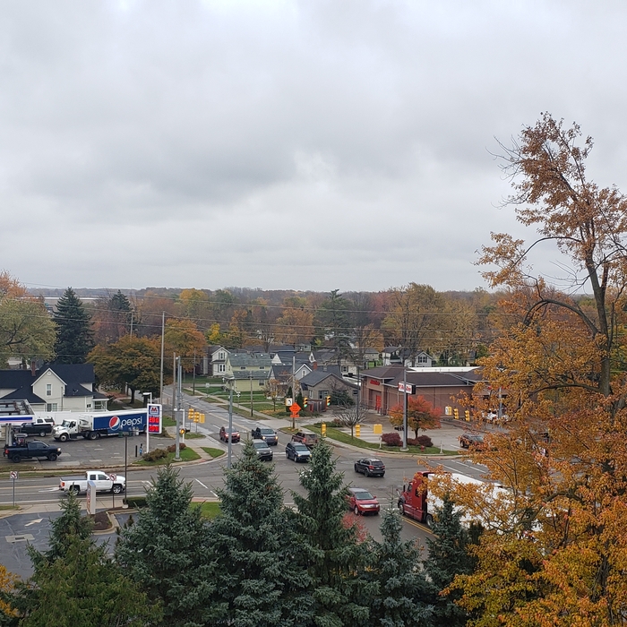 View From Bucket Truck