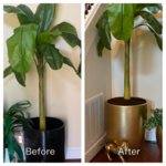 Special Project - Medium Pot Renewal