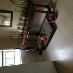 Kitchen & Pet Area Cleaned
