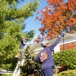 Our work