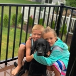 Dog Guard Customers