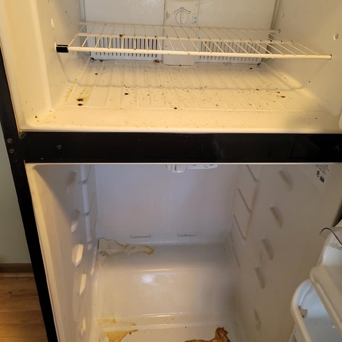 Refrigerator - Before