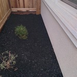 After yard clean up