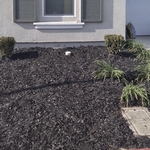 After yard cleanup